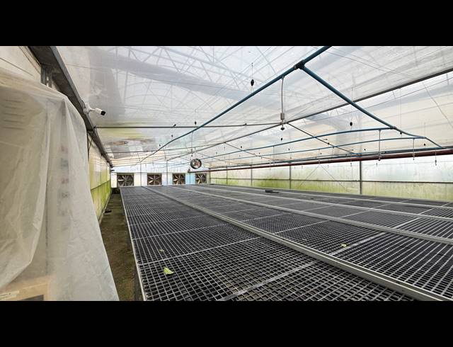 40,471M² SMALLHOLDING FOR SALE IN BENONI AH